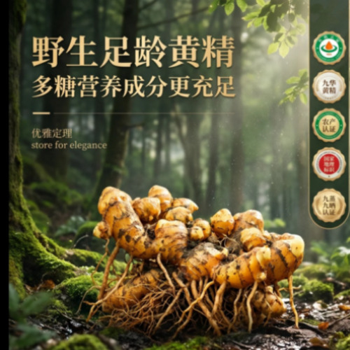 菁选灵创全场景AIGC项目实景展示